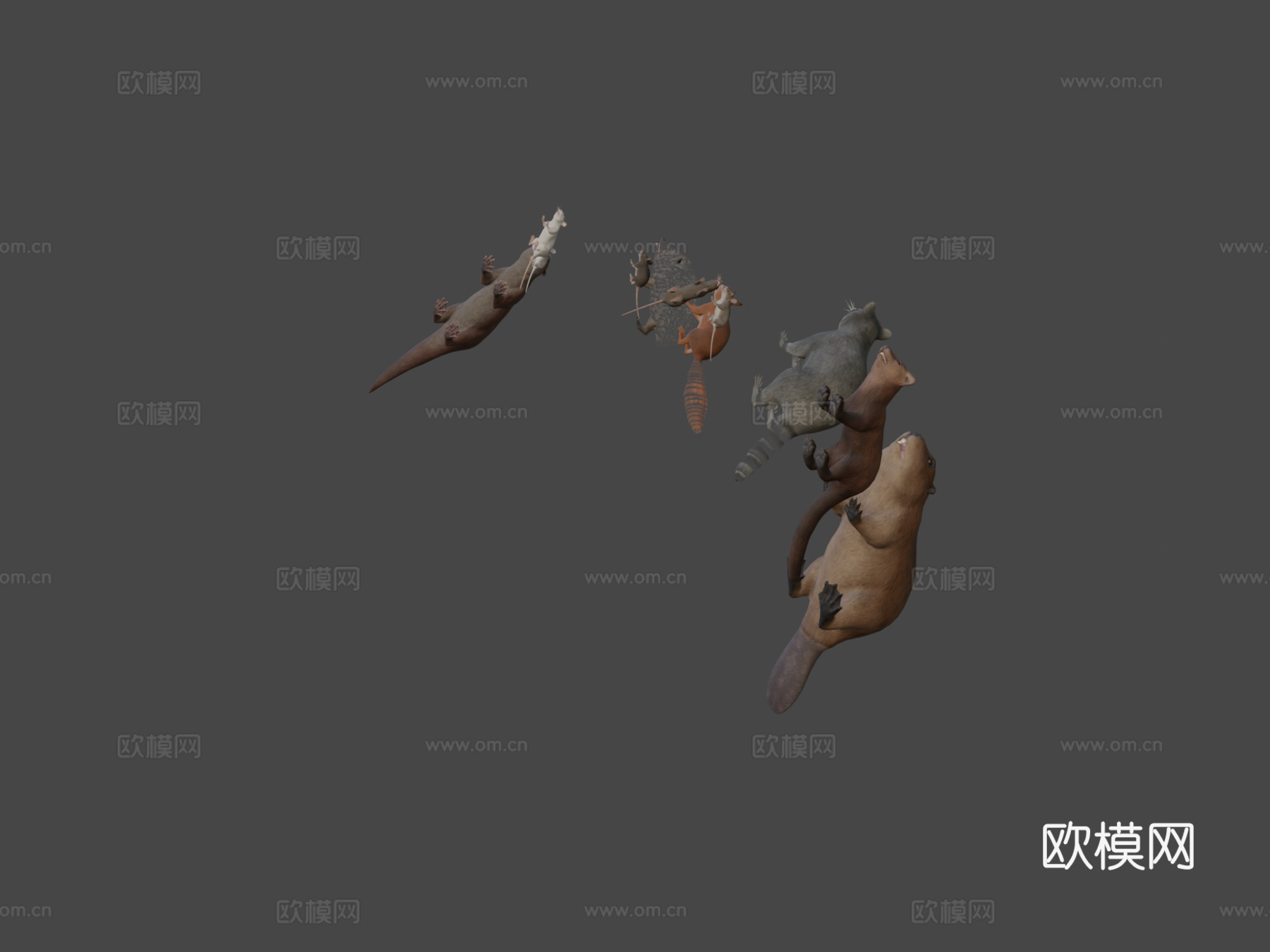 小型动物套装su模型