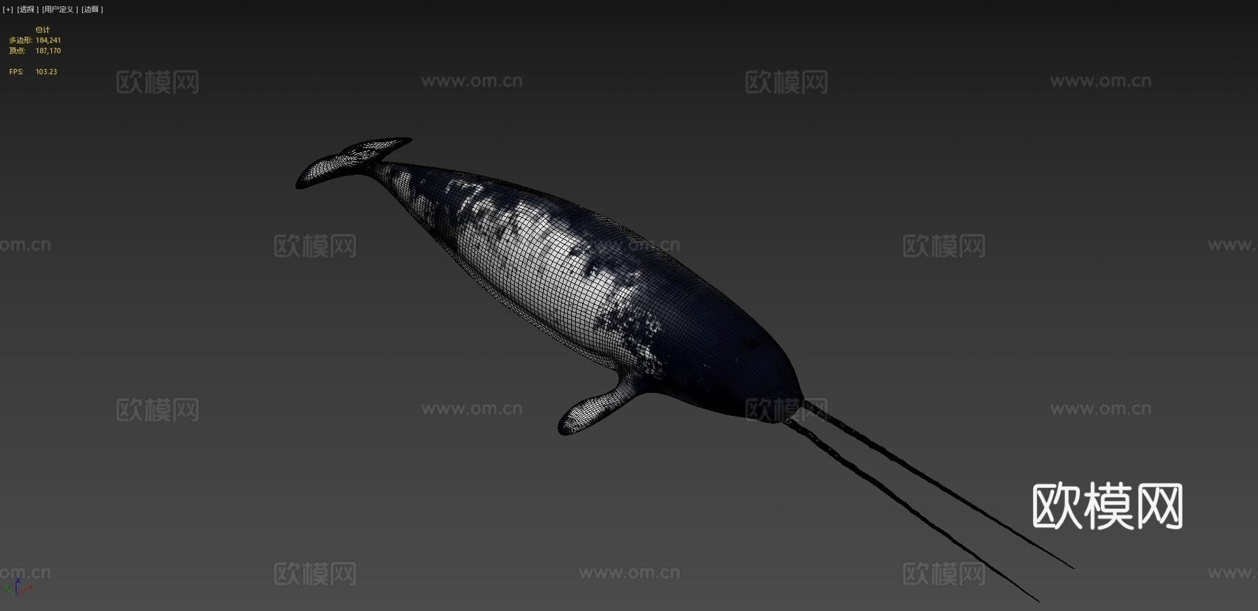 独角鲸一角鲸属su模型