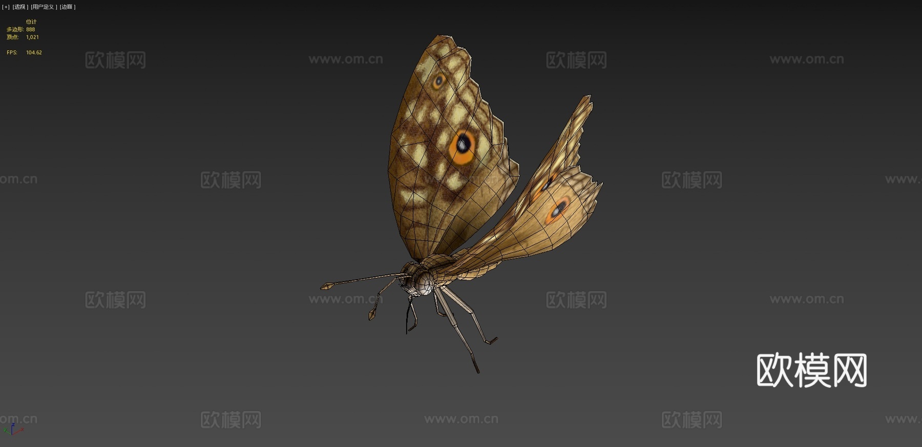 柑橘凤蝶绑定su模型