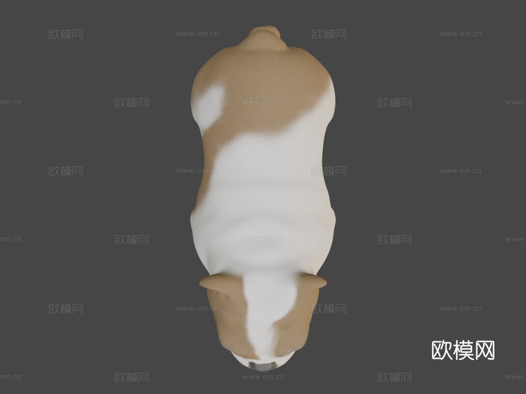 GD53离子罗德里格斯MOD2su模型下载（渲染图7）