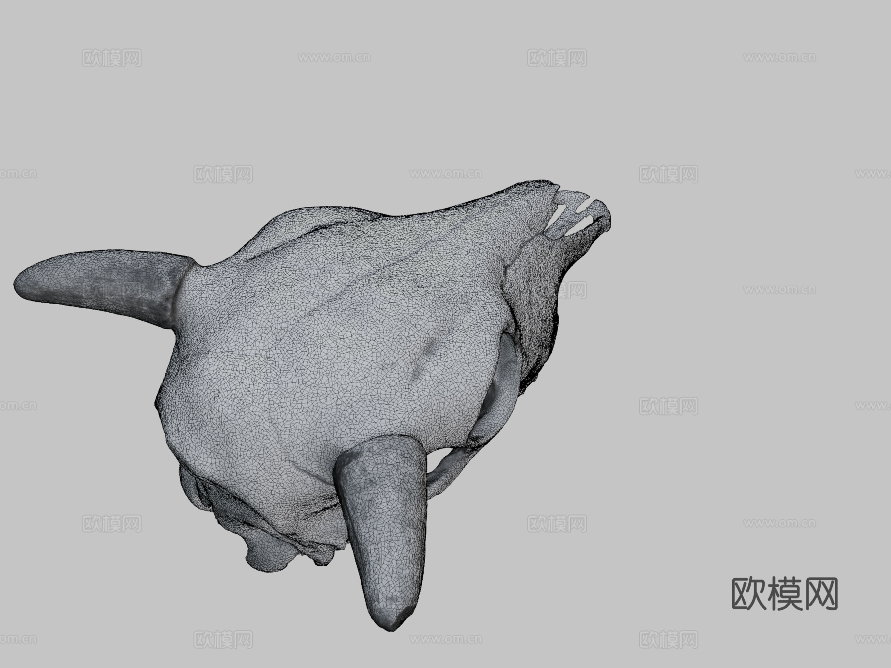 小野牛头骨su模型