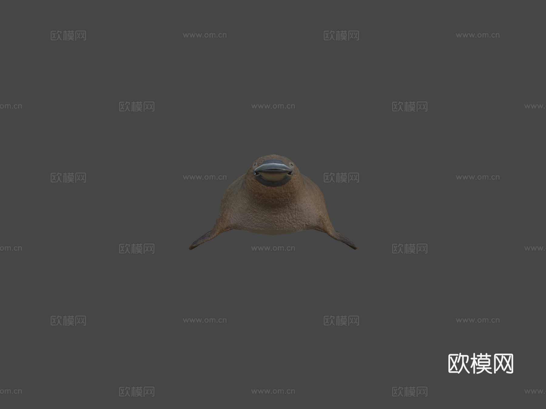 鸭嘴兽su模型
