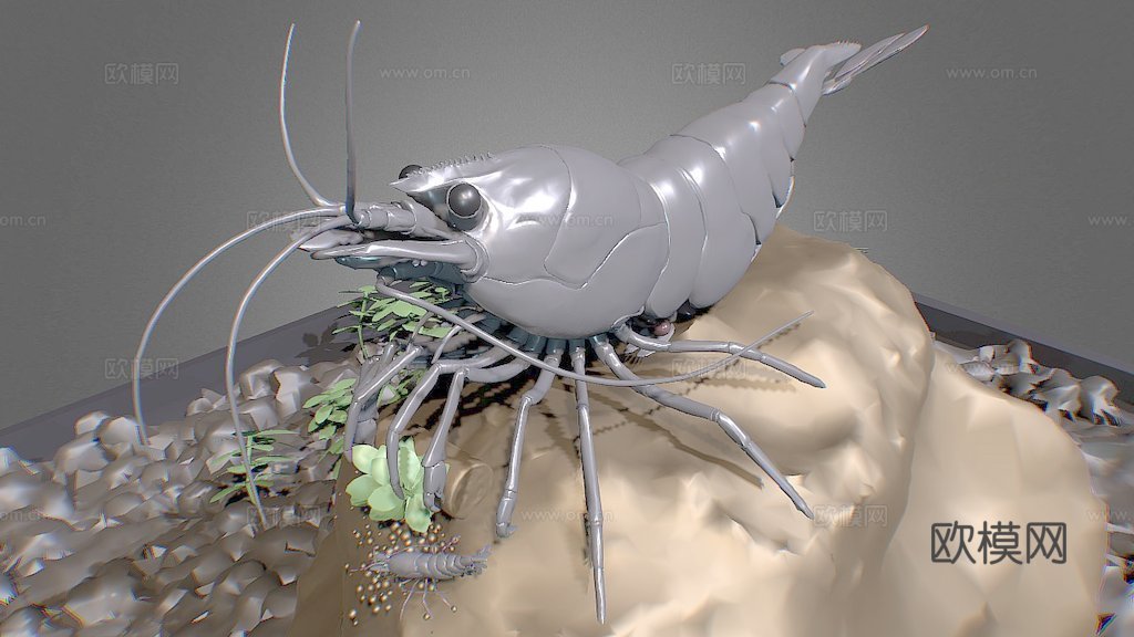 樱花虾完整场景su模型下载（渲染图1）