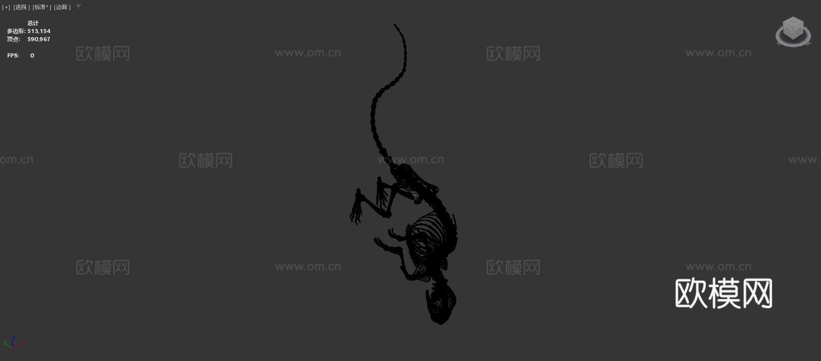 老鼠骨架su模型