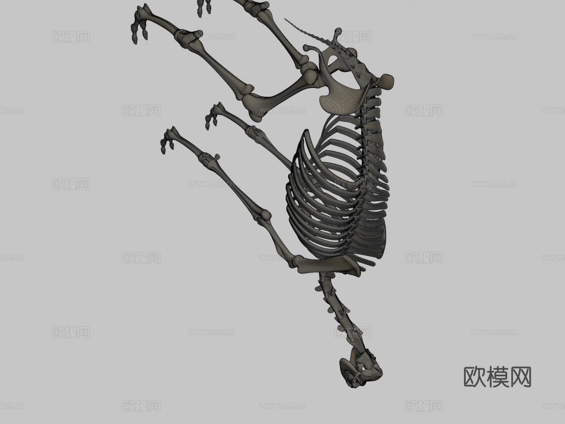 单峰骆驼骨架su模型