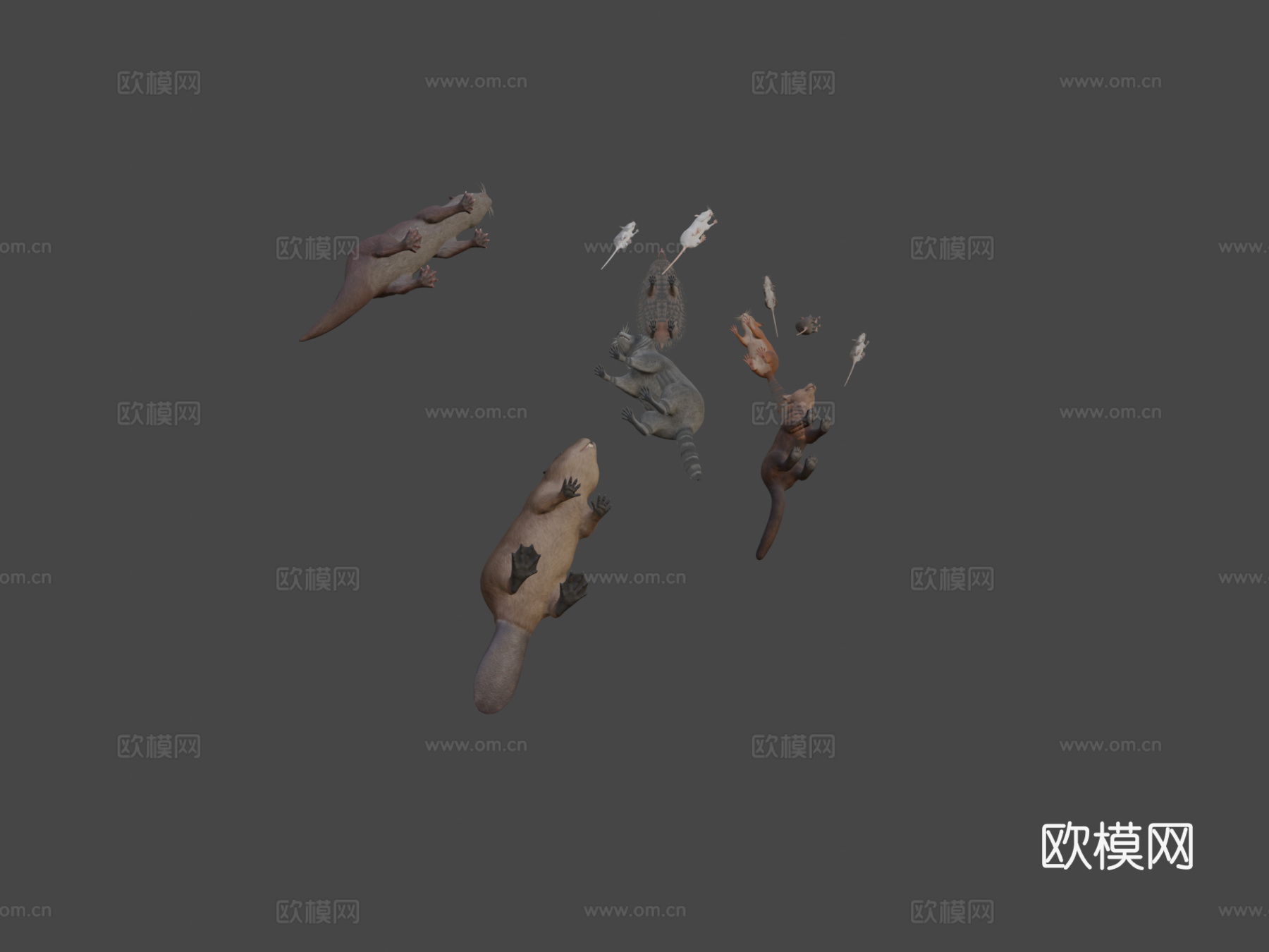 小型动物套装su模型