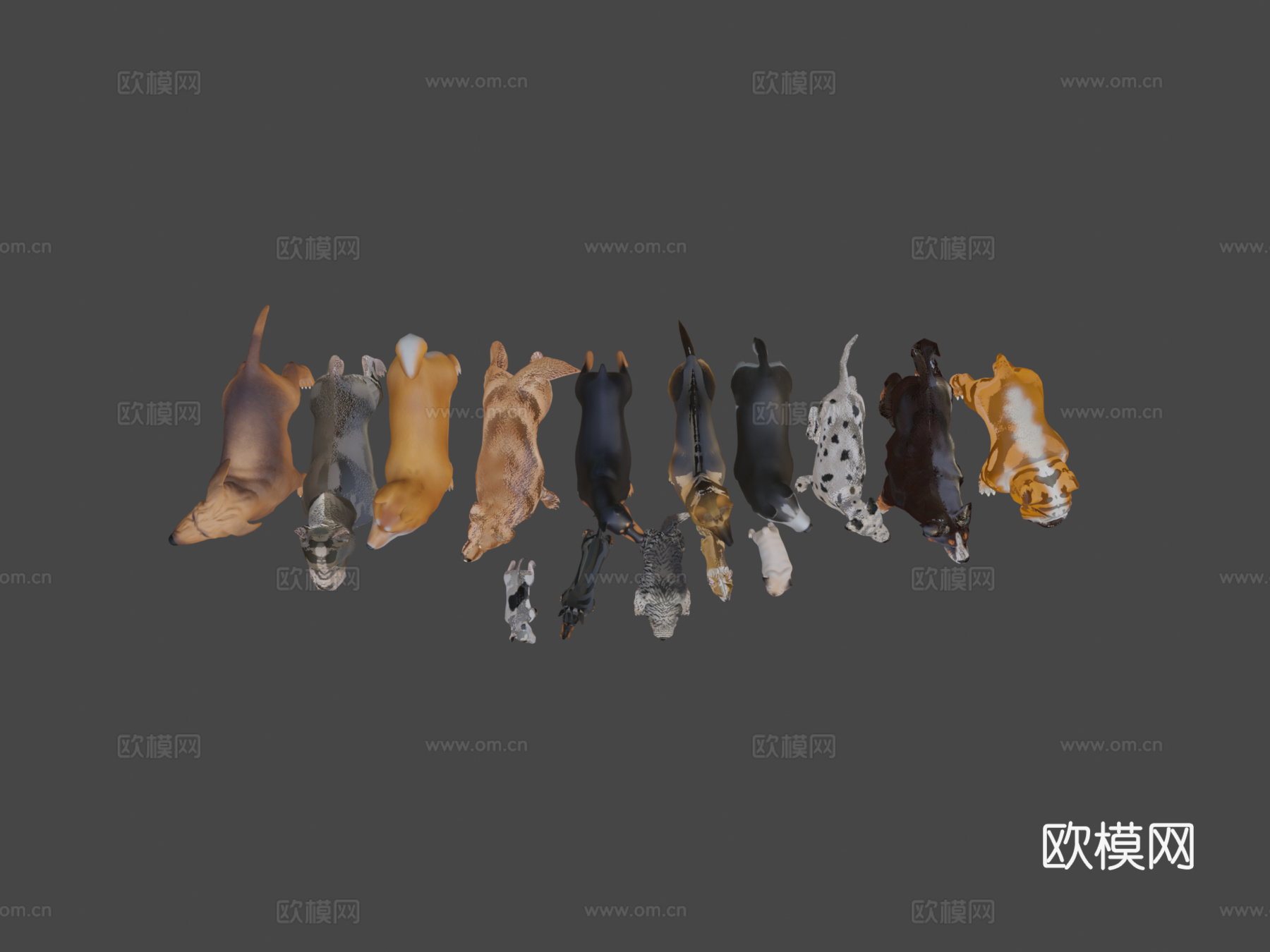 风格化犬只捆绑版su模型下载（渲染图6）