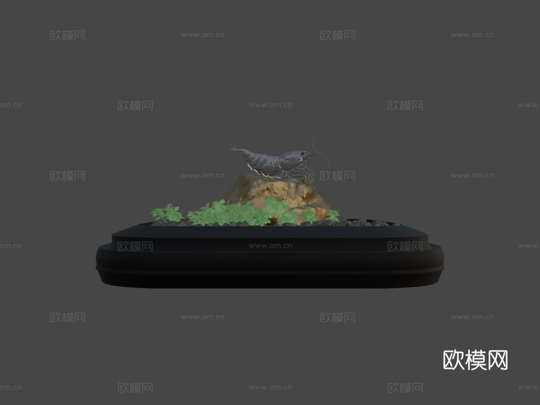 樱花虾完整场景su模型下载（渲染图6）