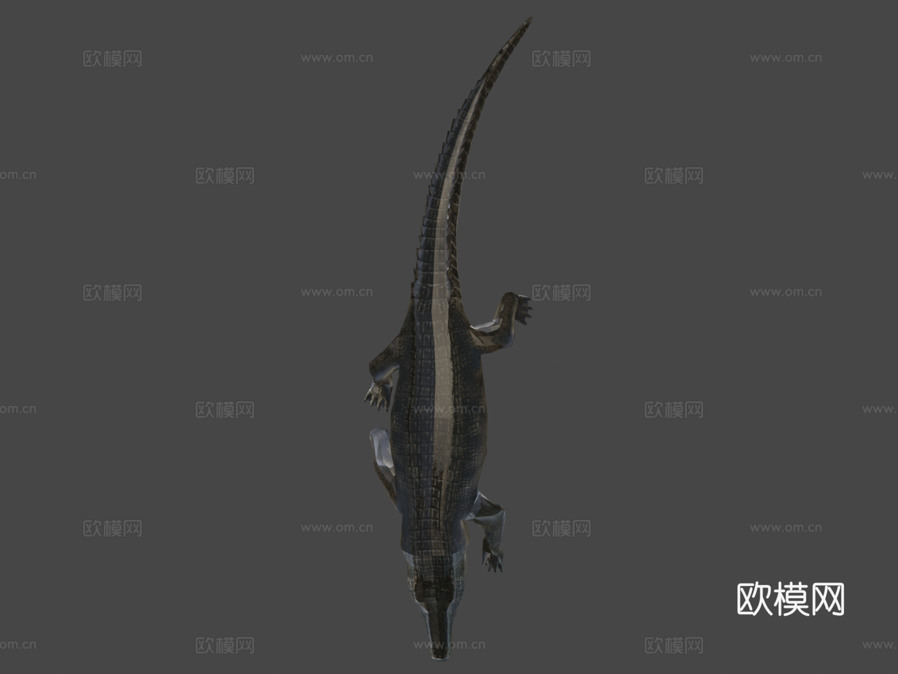 鳄鱼su模型