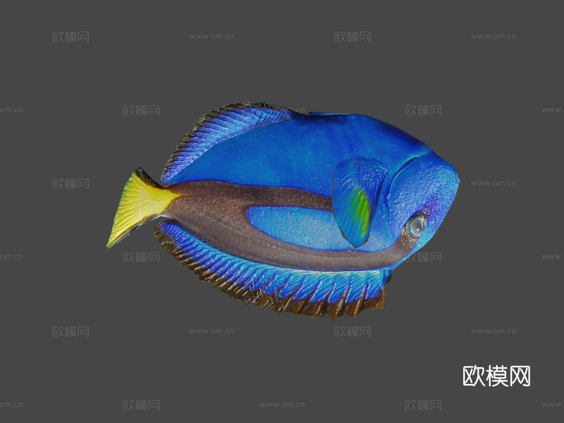 多莉su模型下载（渲染图8）