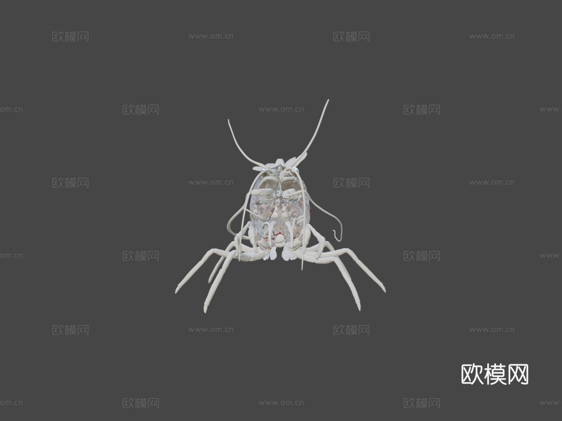 虾纹理测试su模型