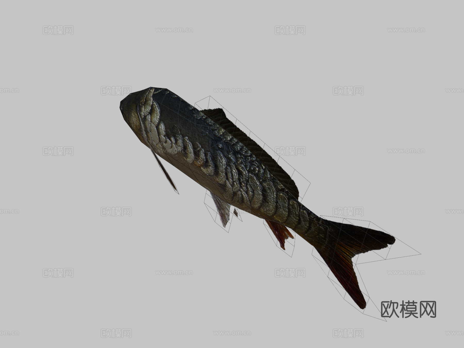 镜鲤su模型下载（渲染图2）