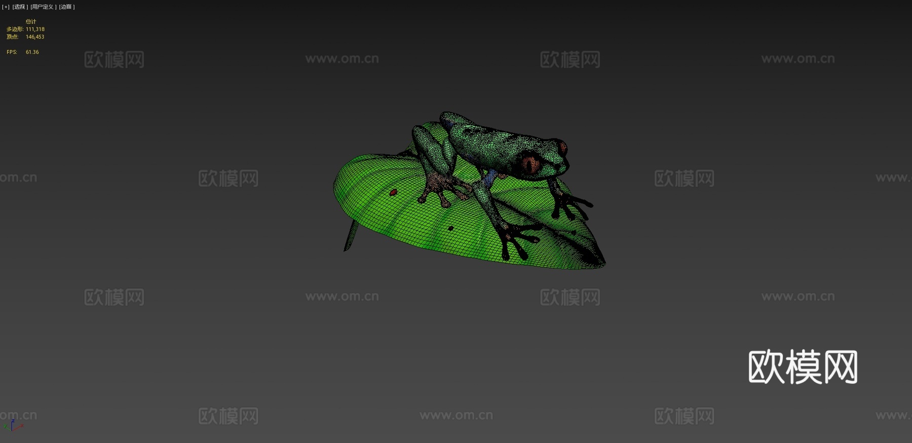 红眼树蛙su模型下载（渲染图4）