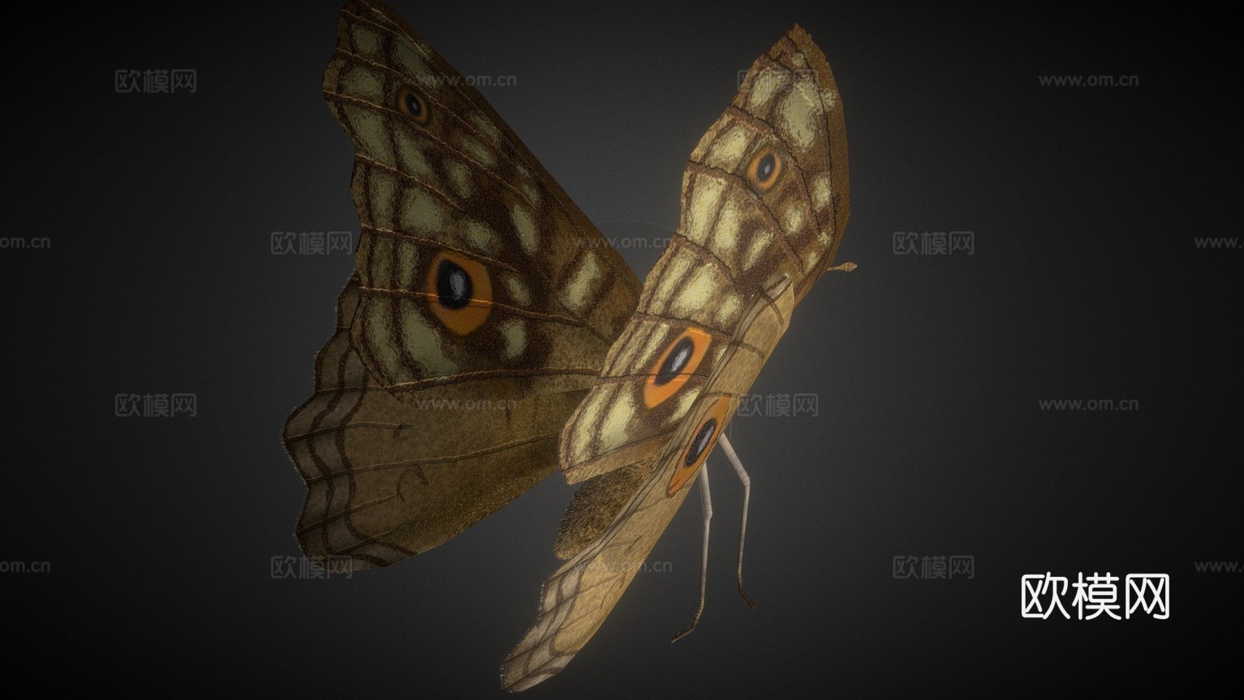 柑橘凤蝶绑定su模型