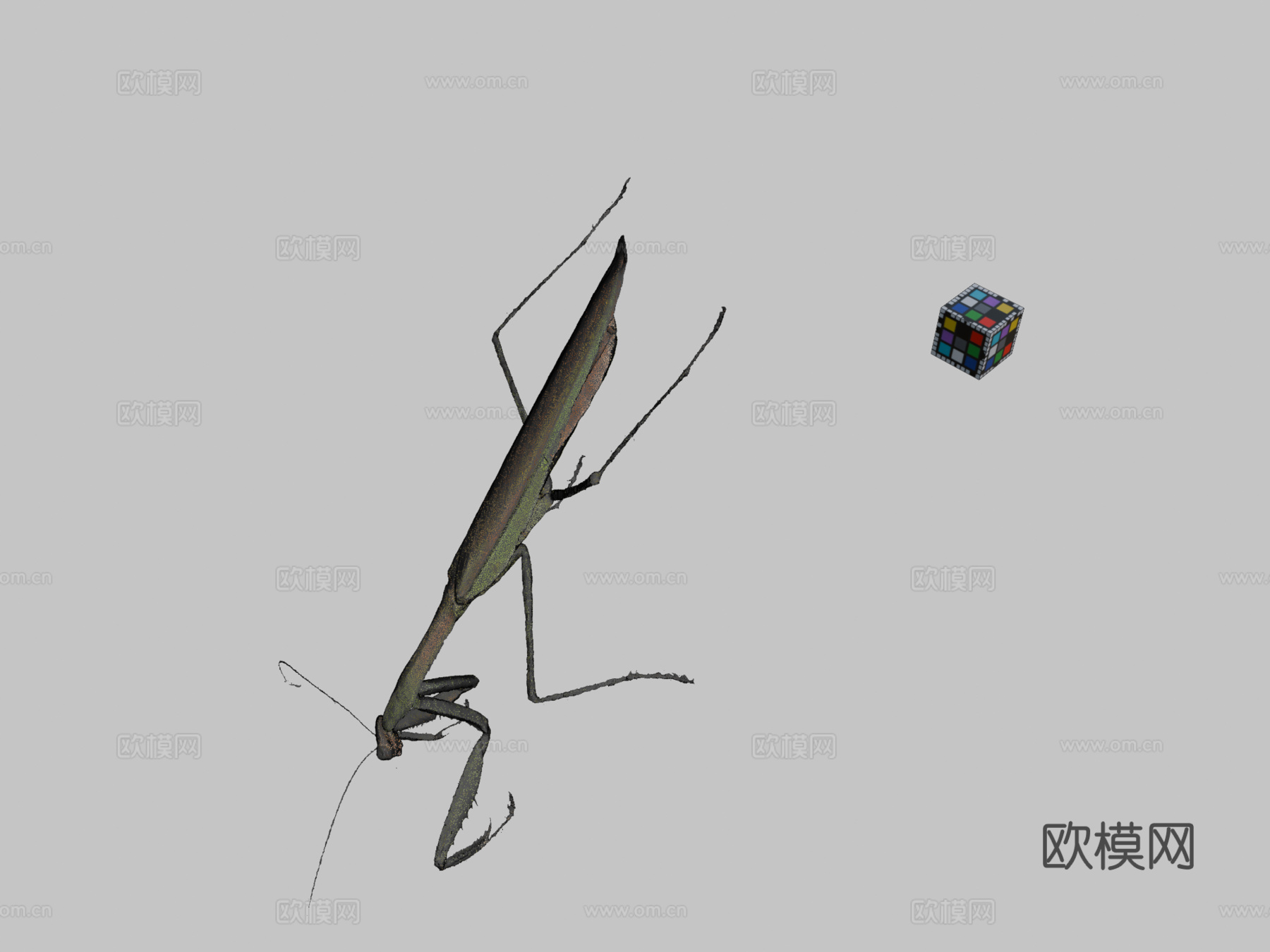 CC0大螳螂中华大刀螳su模型