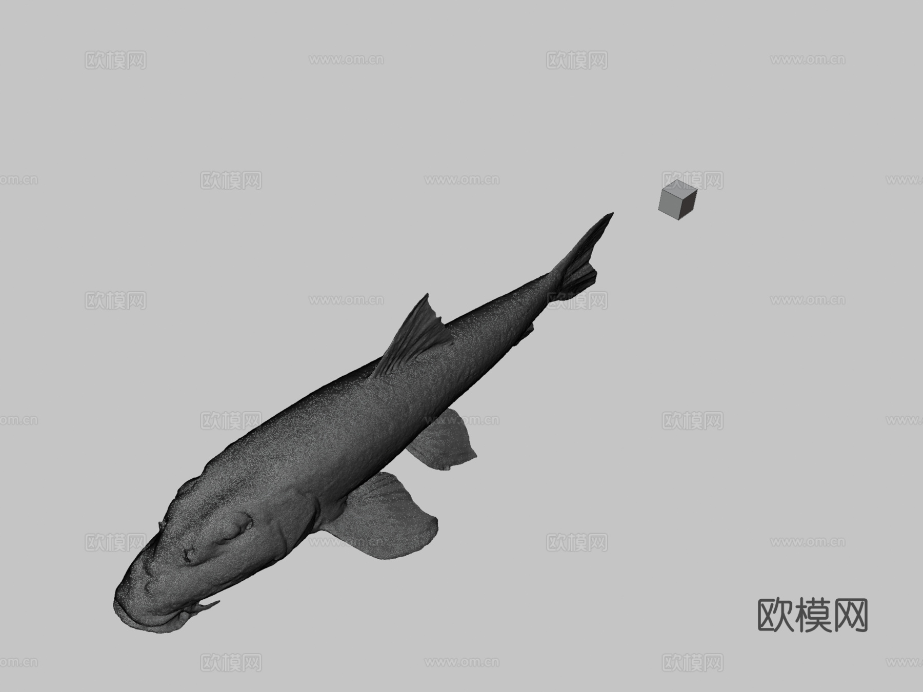 CC0日本鱥鱥鱼su模型