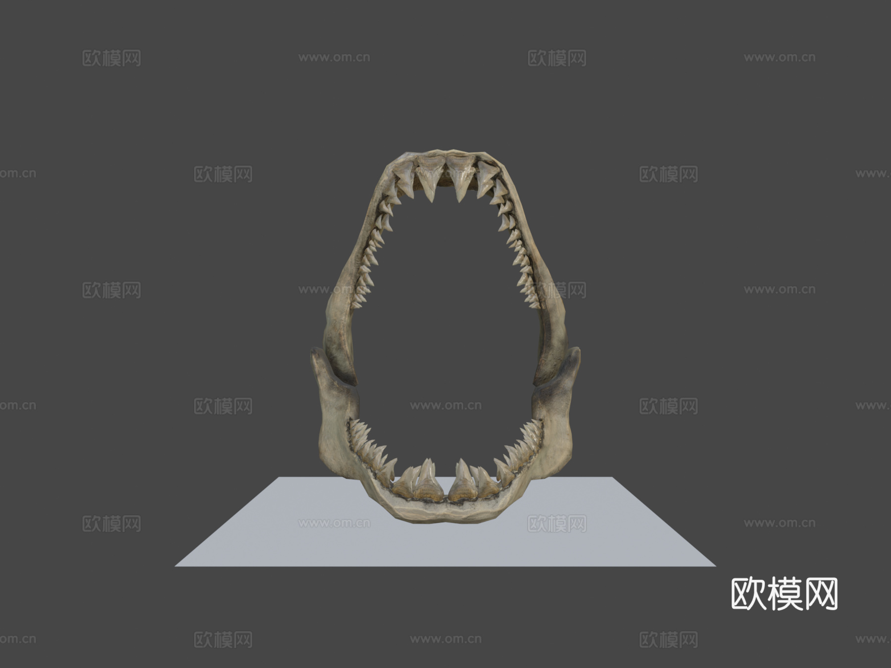 鲨鱼牙su模型下载（渲染图6）