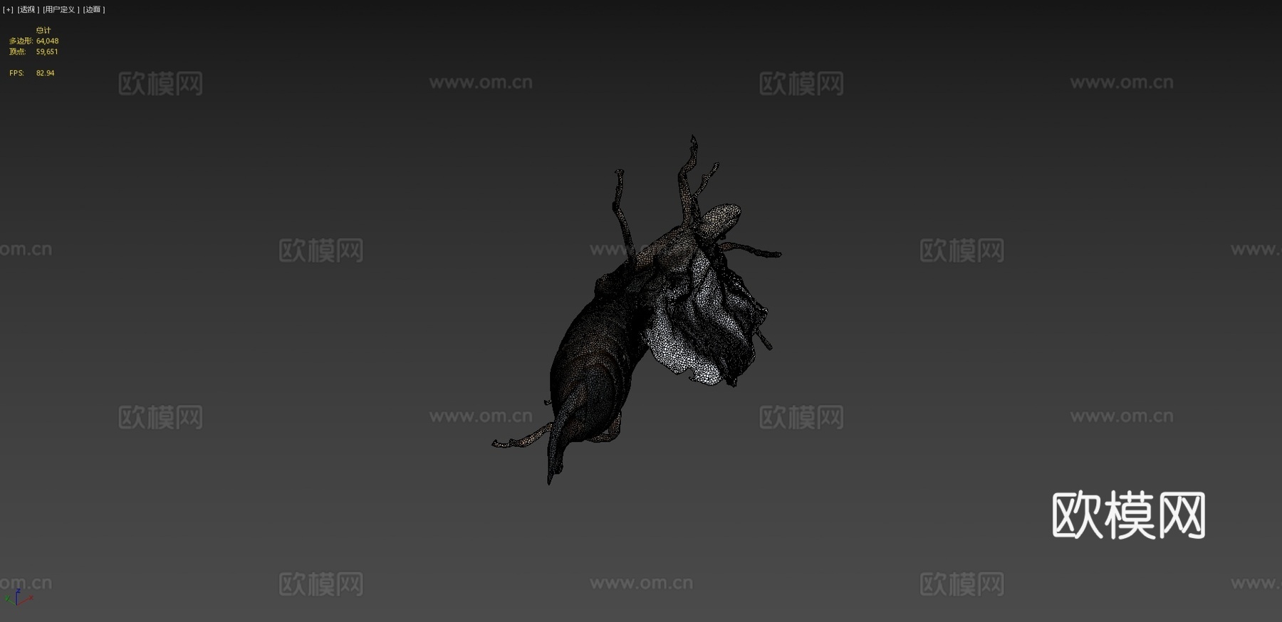 欧洲蠼螋自然历史数字档案库su模型下载（渲染图4）