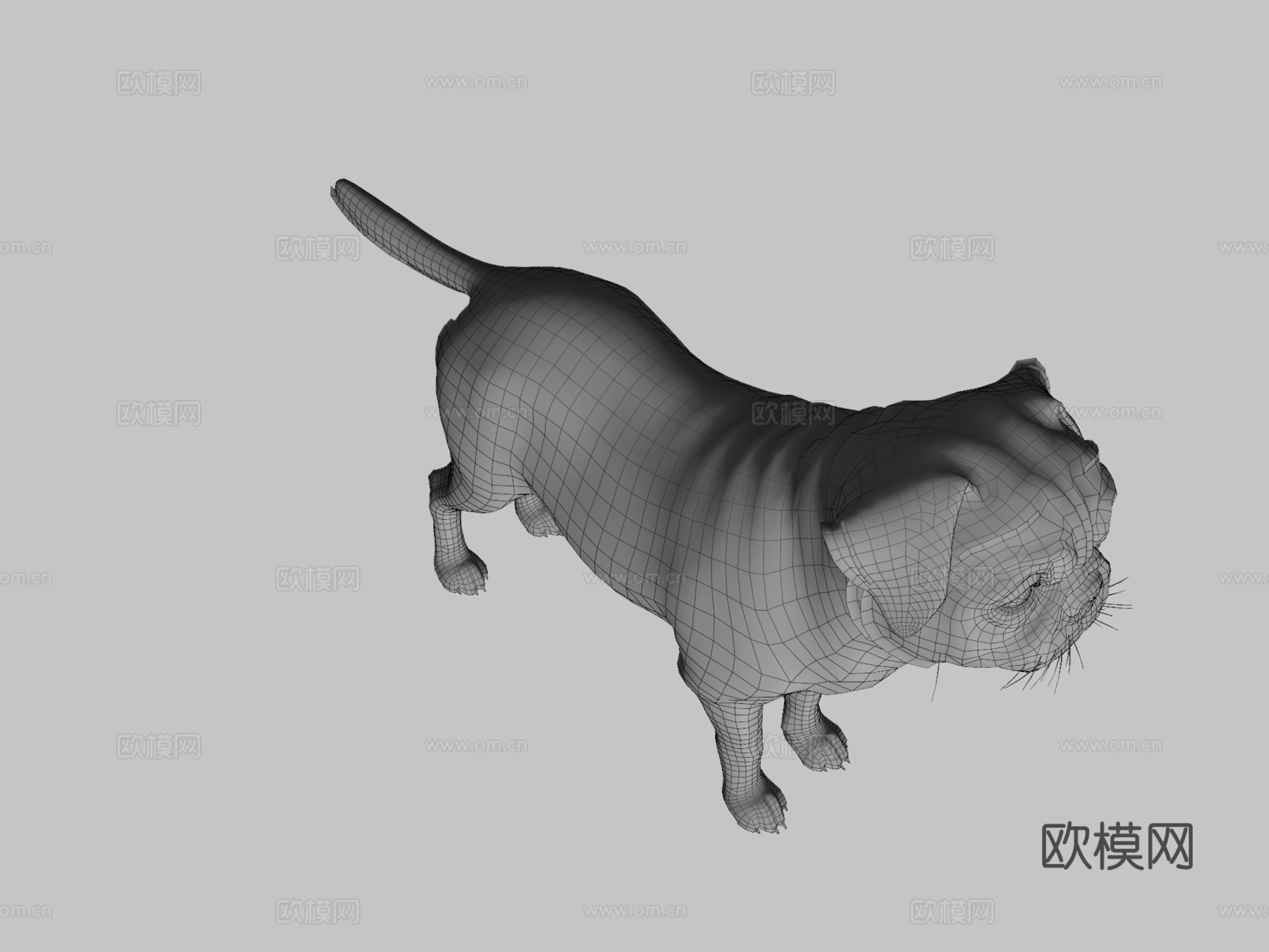 狗哈巴狗v2su模型