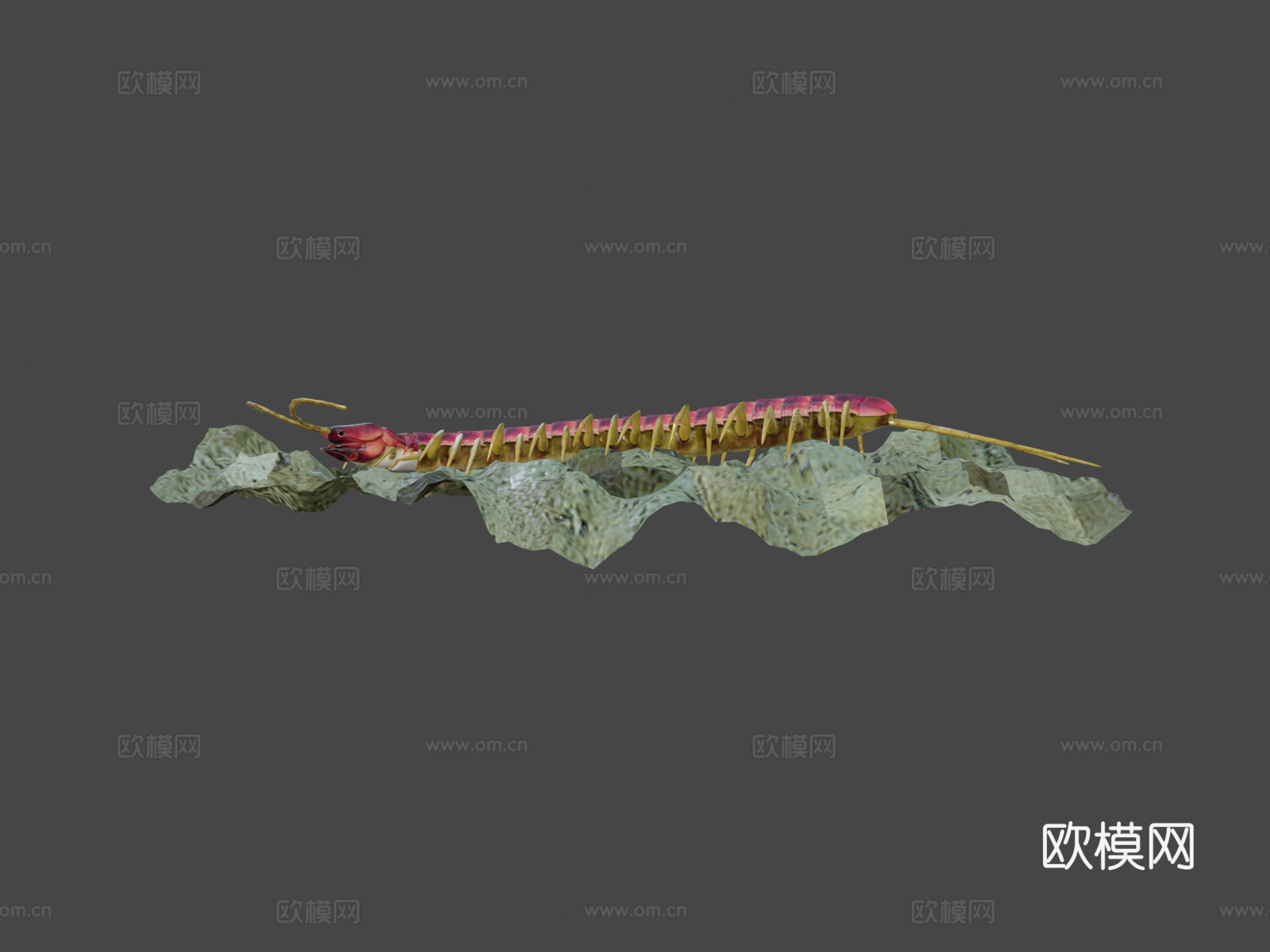 蜈蚣su模型下载（渲染图6）