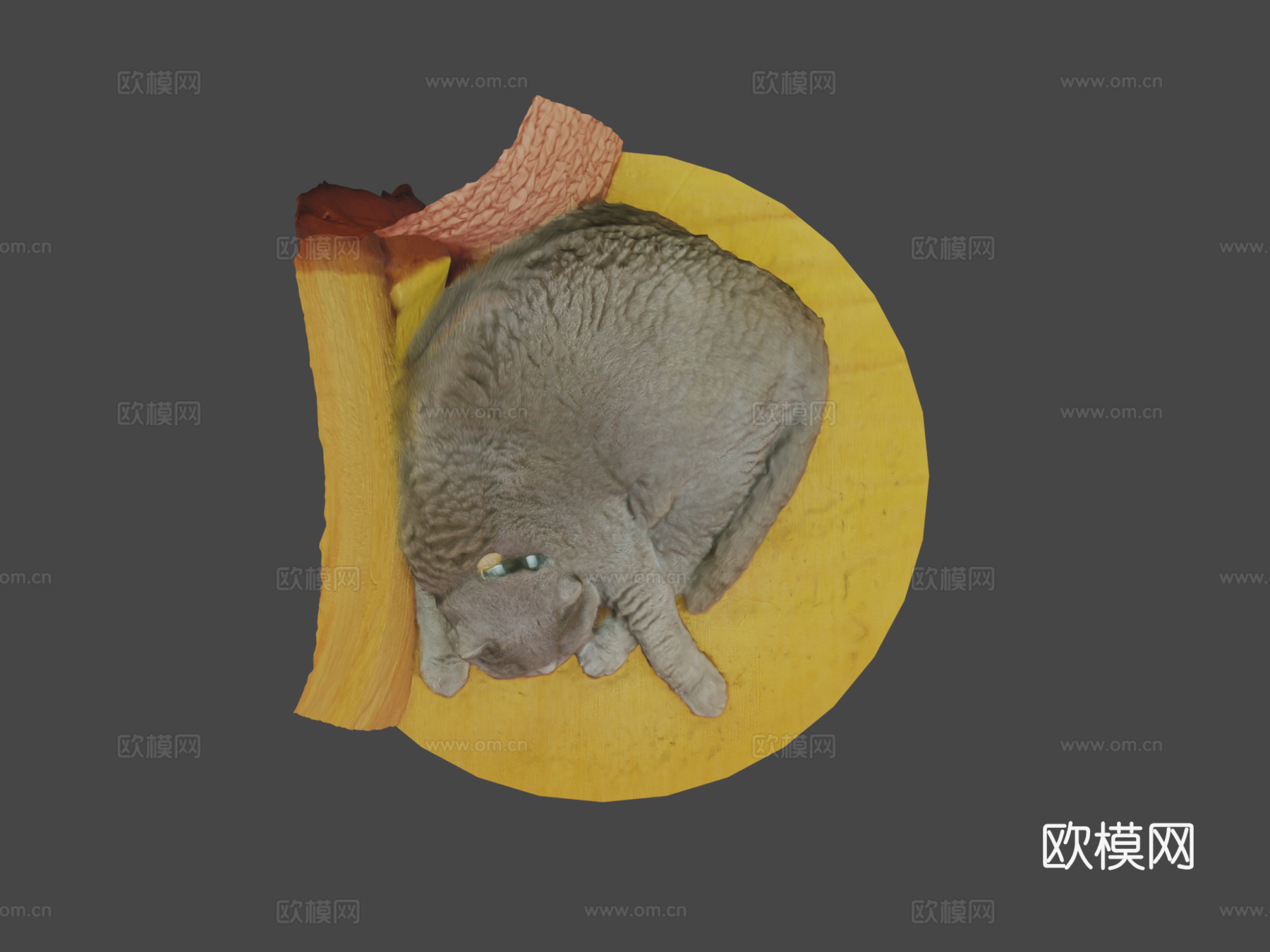 睡猫su模型下载（渲染图8）