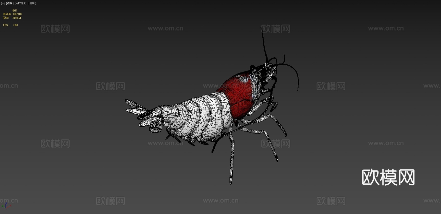 虾纹理测试su模型