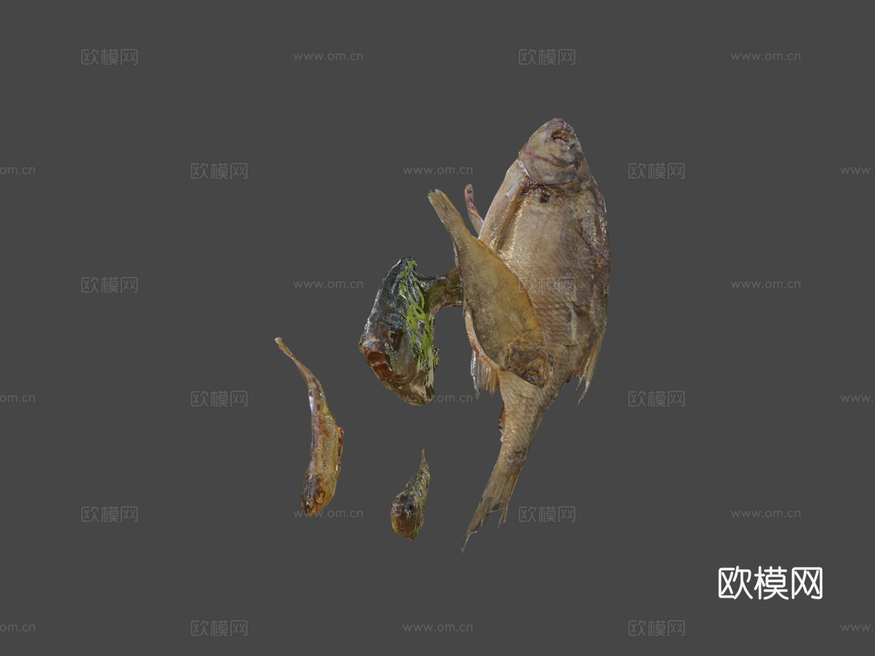 干鱼套装su模型