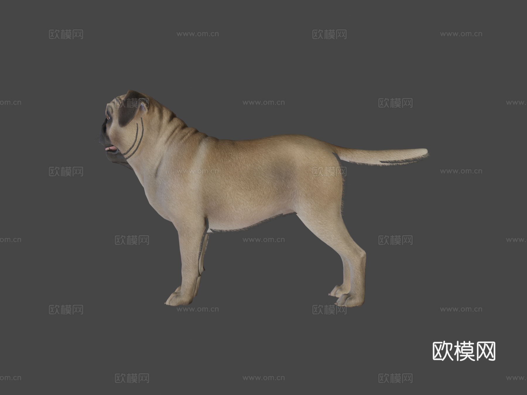 狗哈巴狗v2su模型