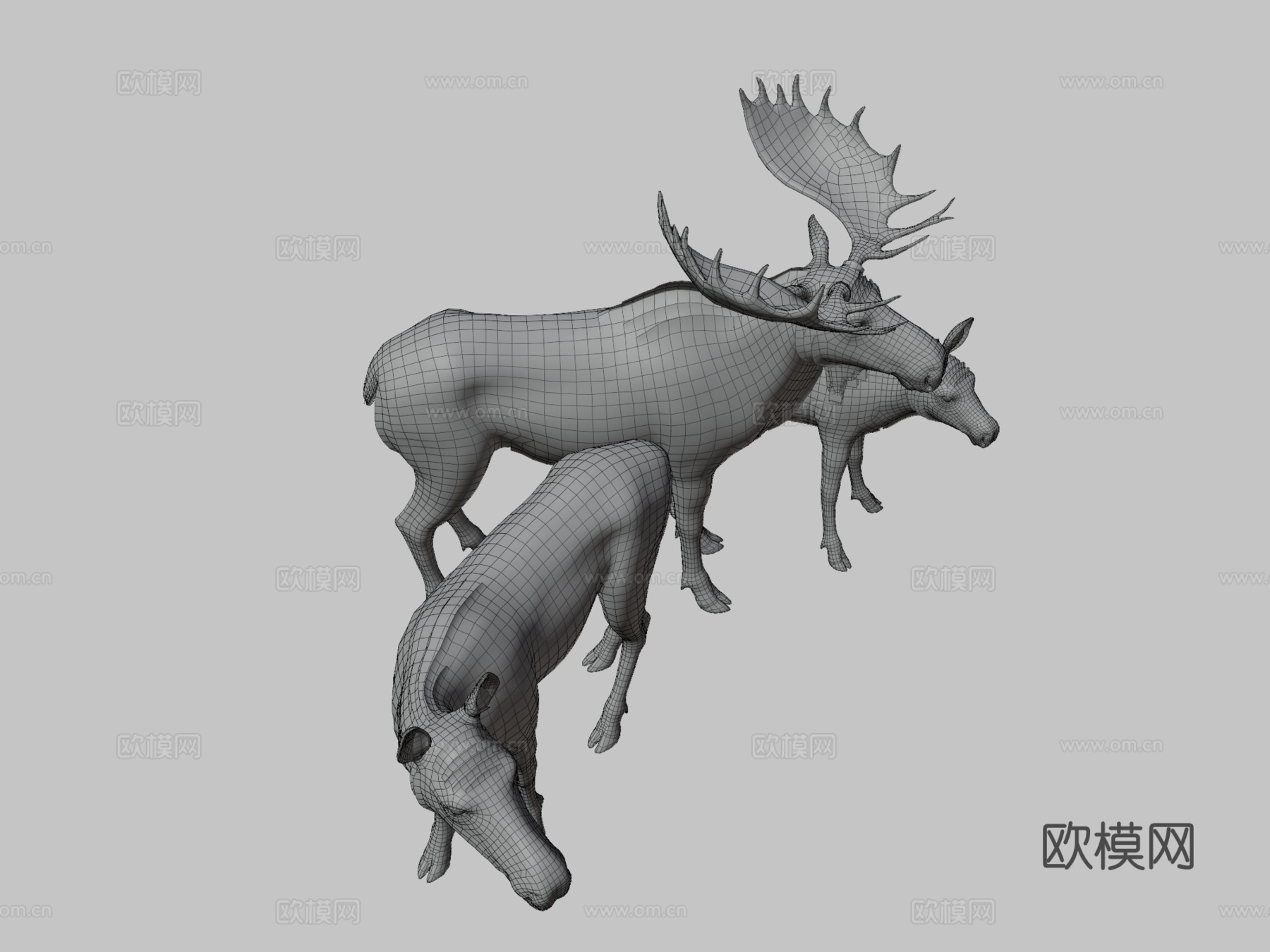 驼鹿家庭马鹿1su模型