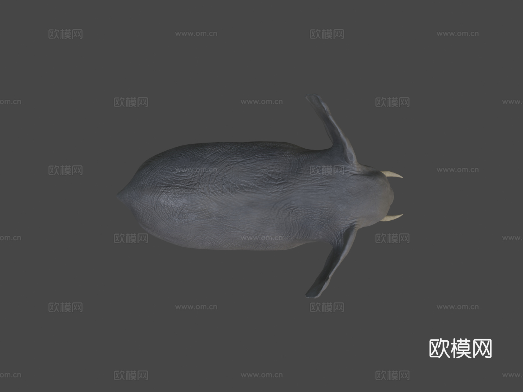 非洲象su模型下载（渲染图5）