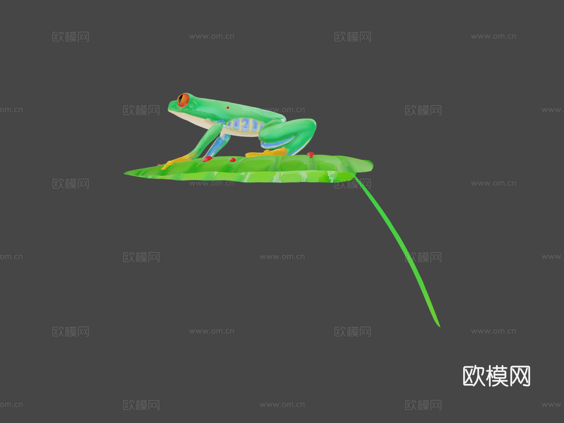 红眼树蛙su模型下载（渲染图5）