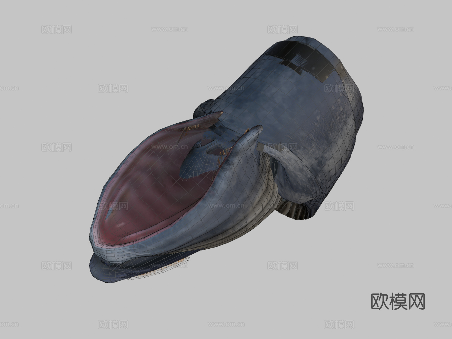 蓝鲸动画版su模型