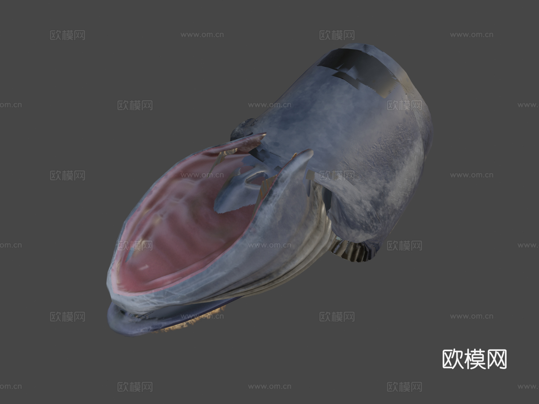 蓝鲸动画版su模型