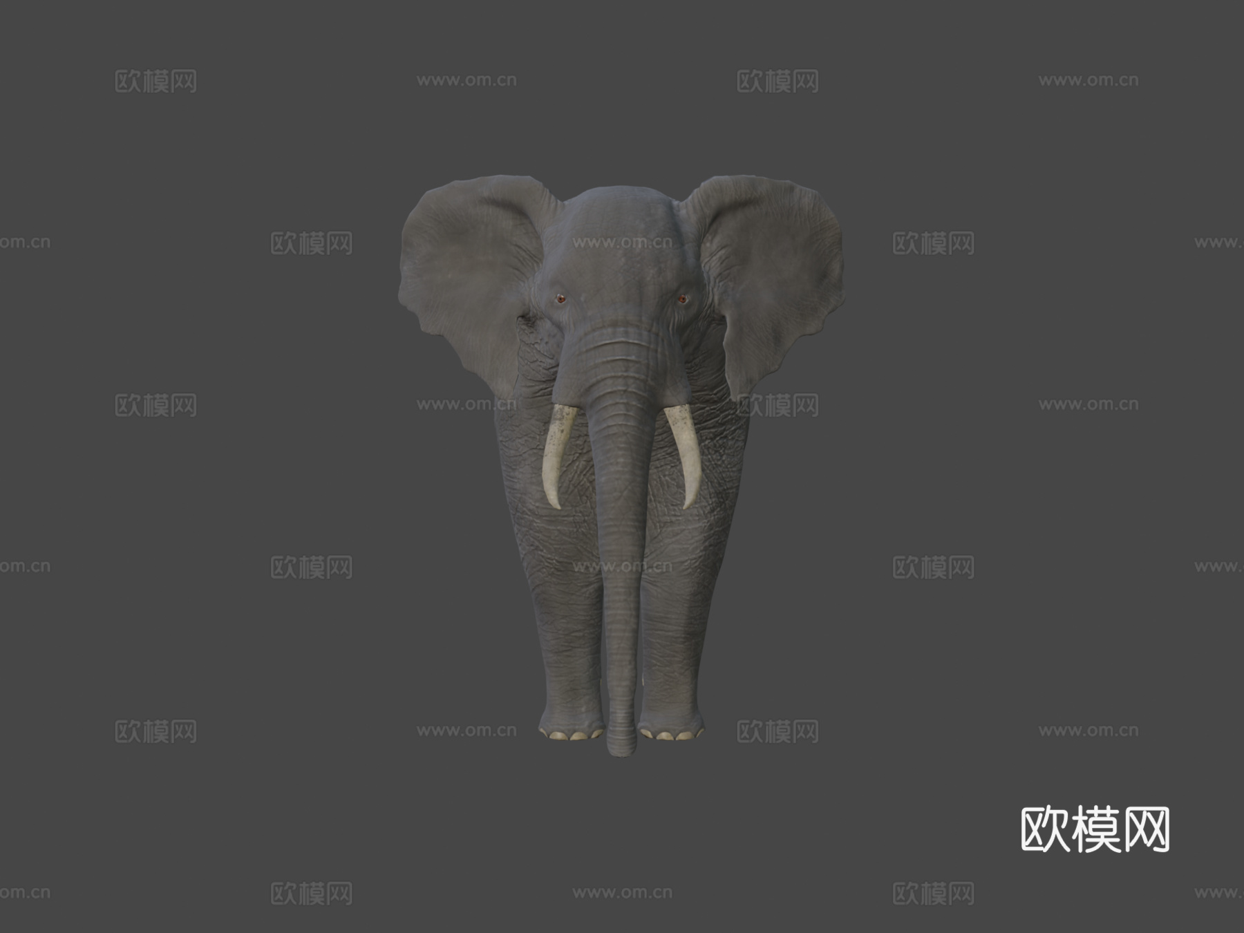 非洲象su模型下载（渲染图6）