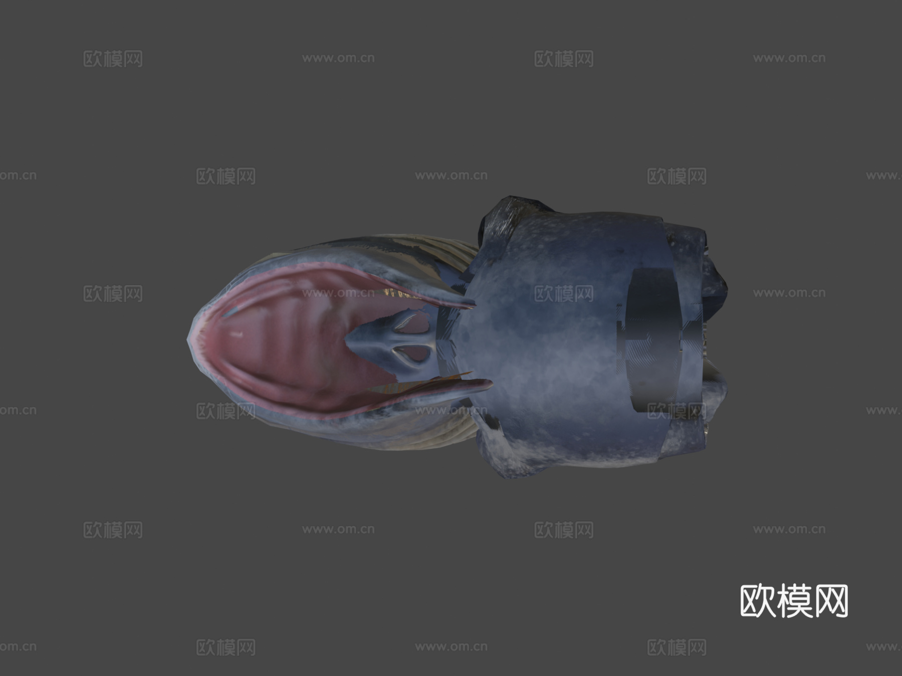 蓝鲸动画版su模型