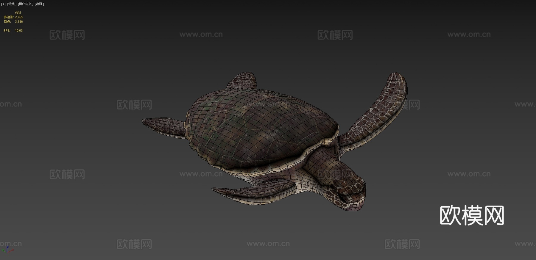 红海龟蠵龟su模型