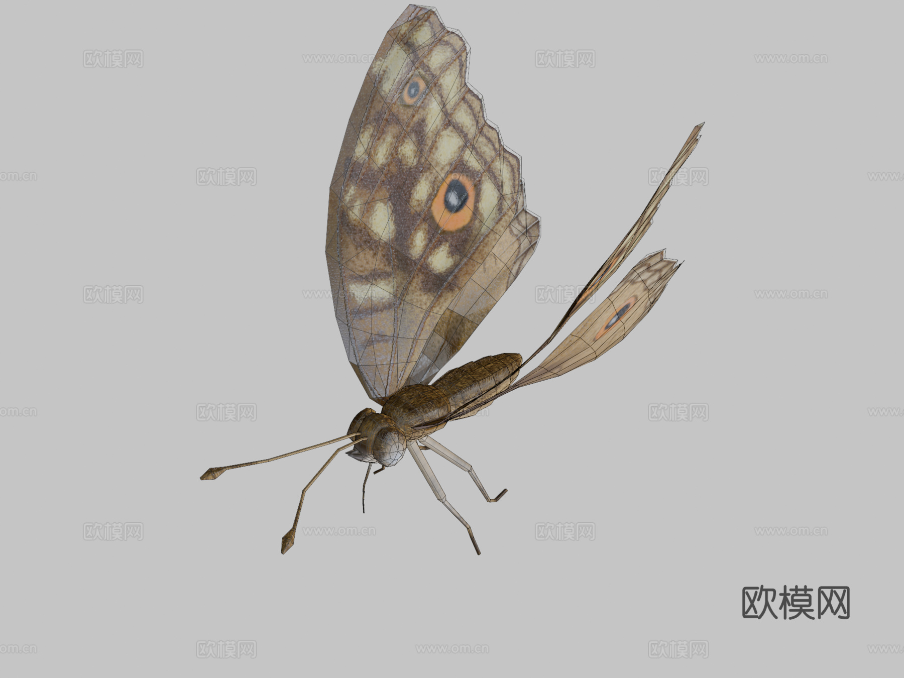 柑橘凤蝶绑定su模型