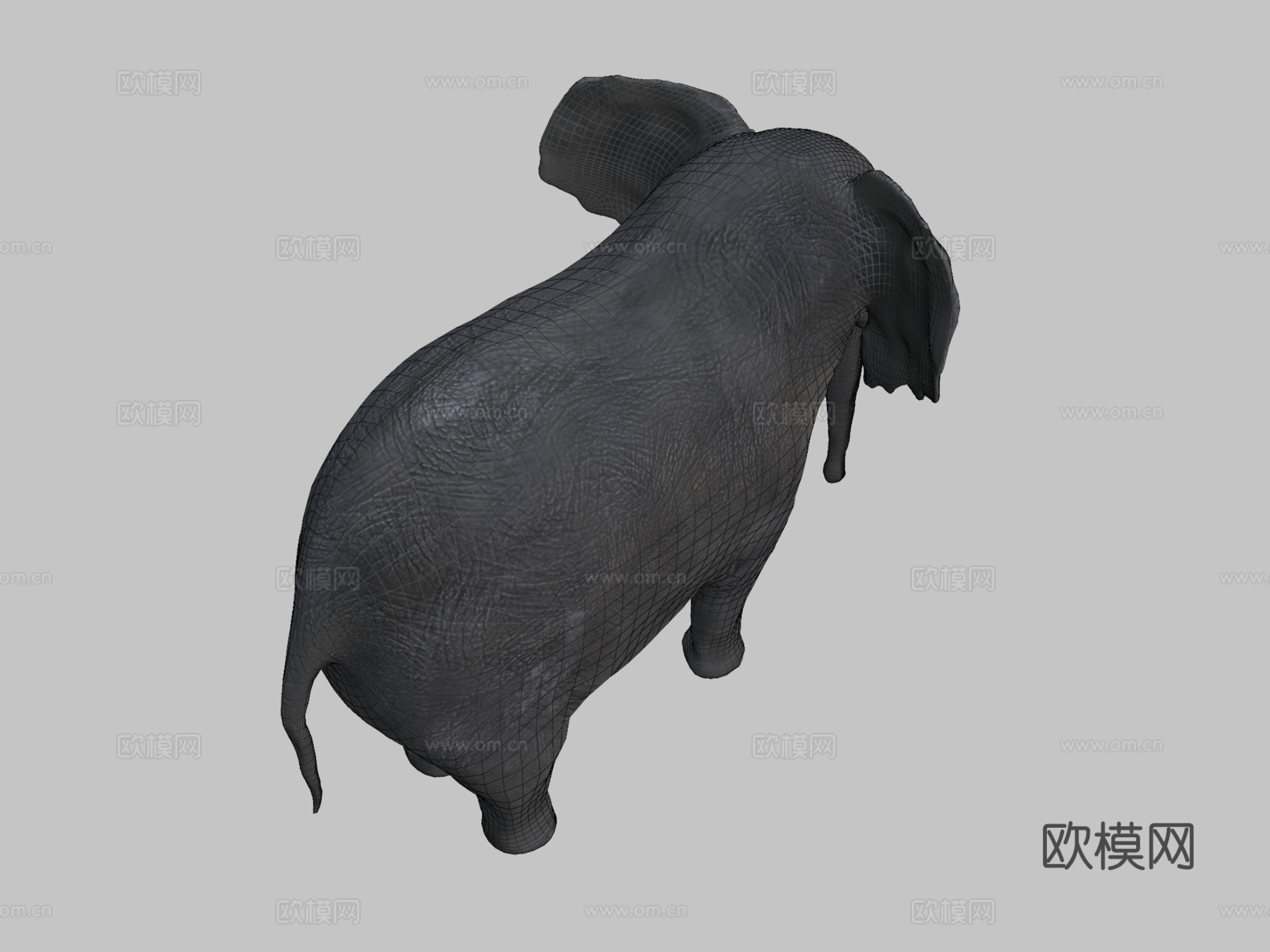 非洲象su模型下载（渲染图2）