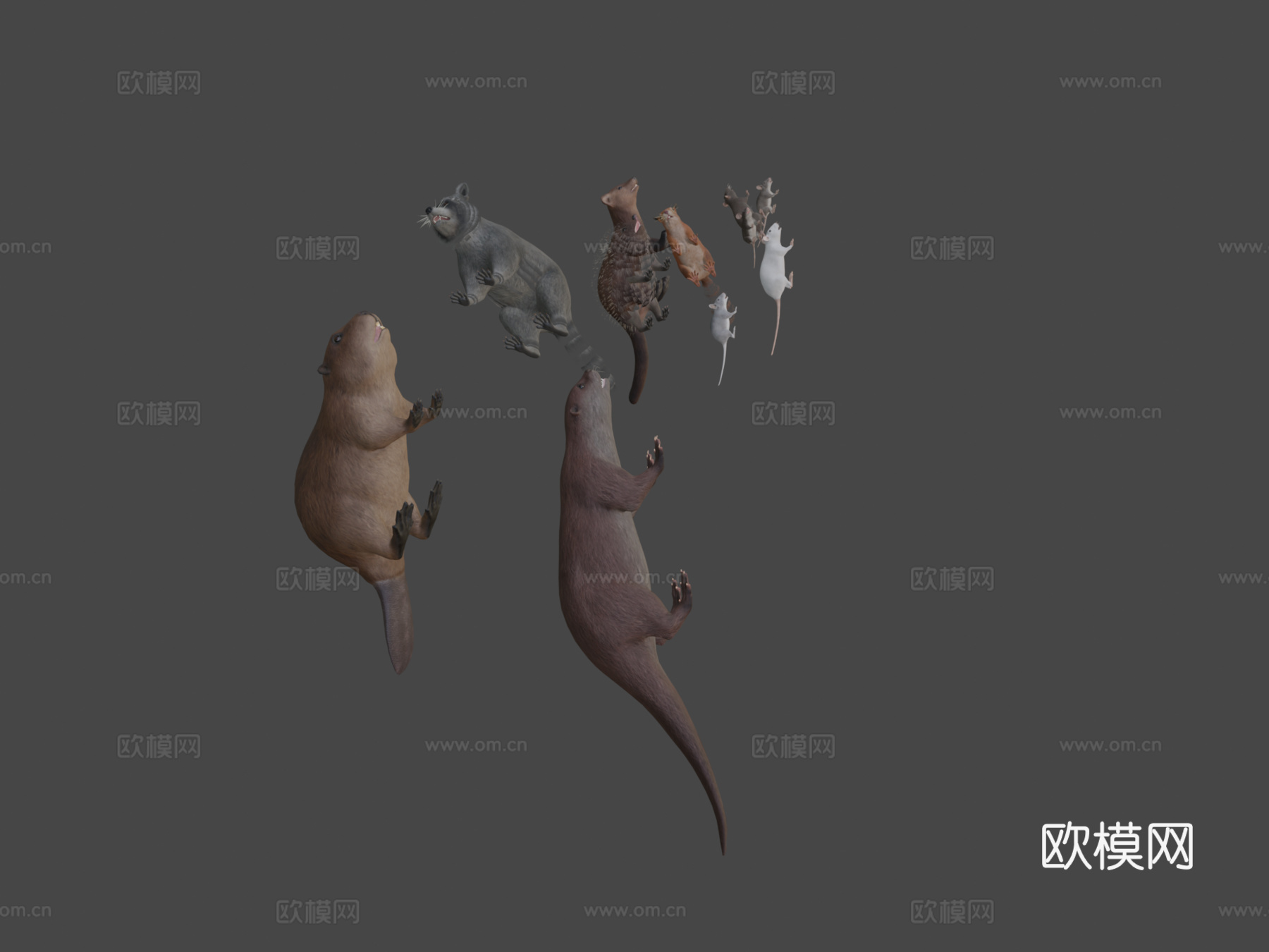 小型动物套装su模型