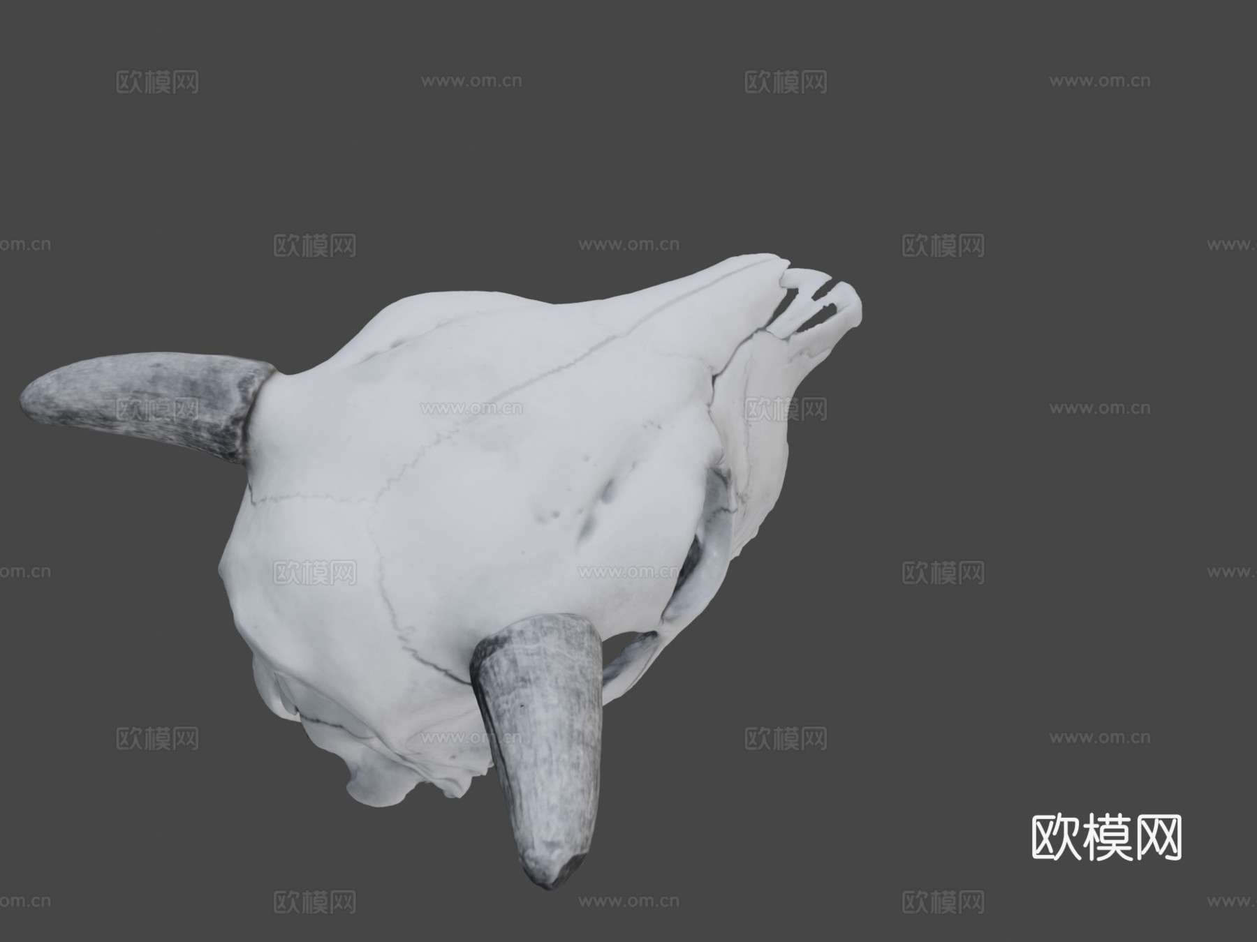 小野牛头骨su模型