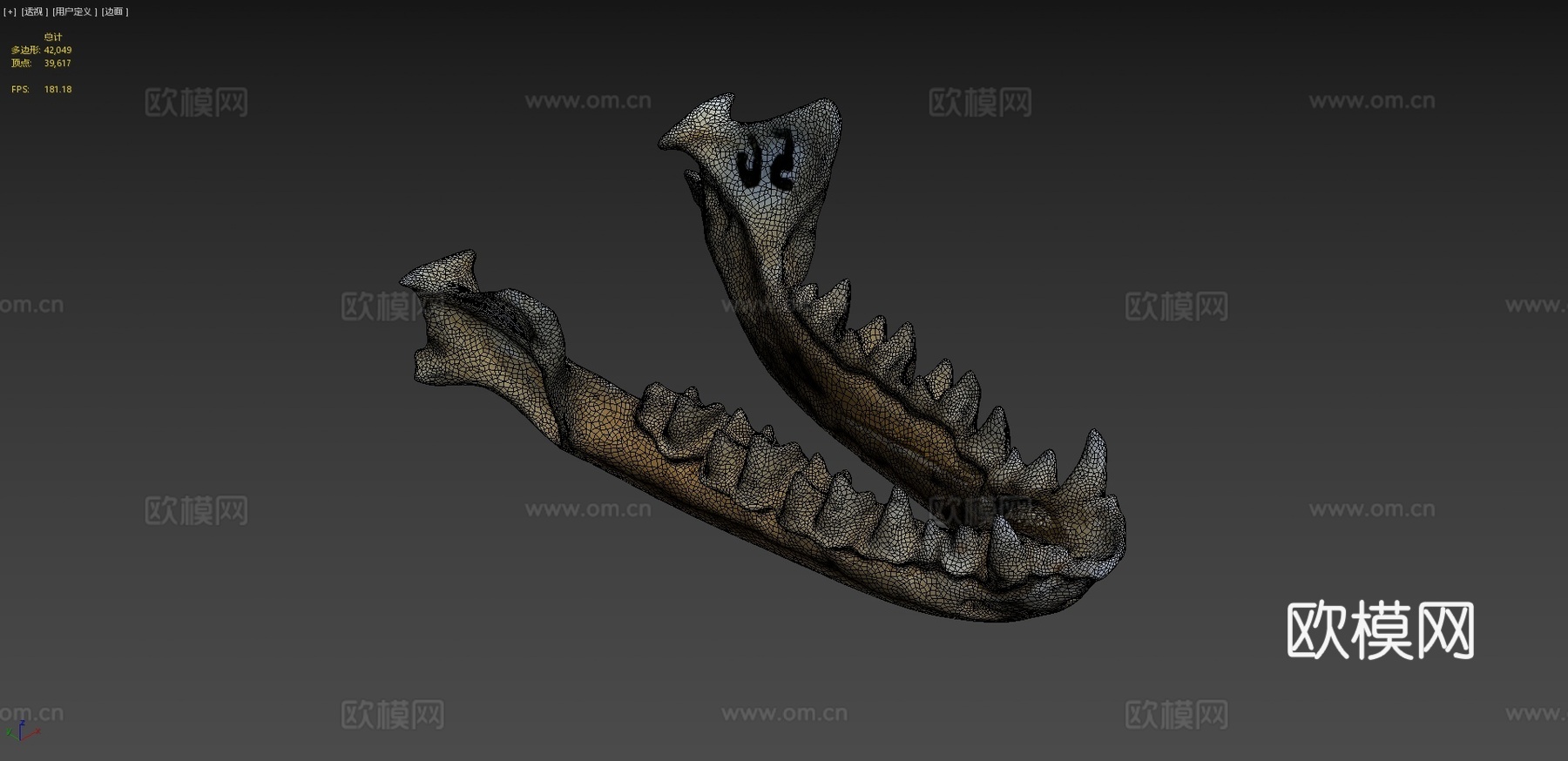 鼠耳蝠自然历史数字档案库su模型