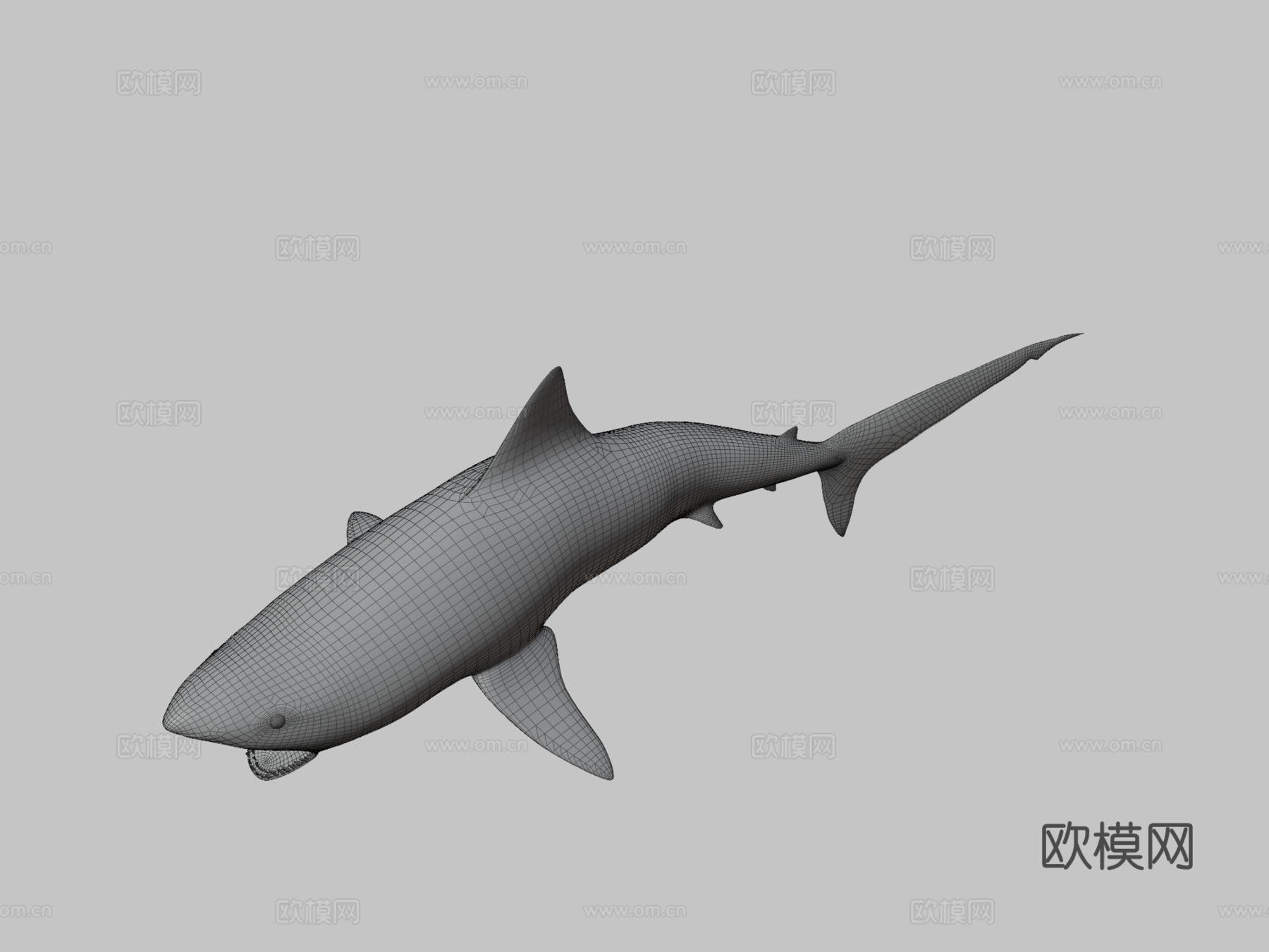 鲨鱼su模型下载（渲染图3）