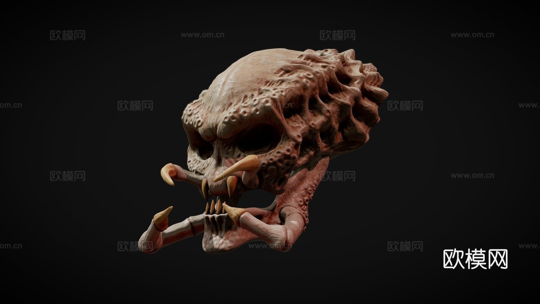 掠食者头骨su模型