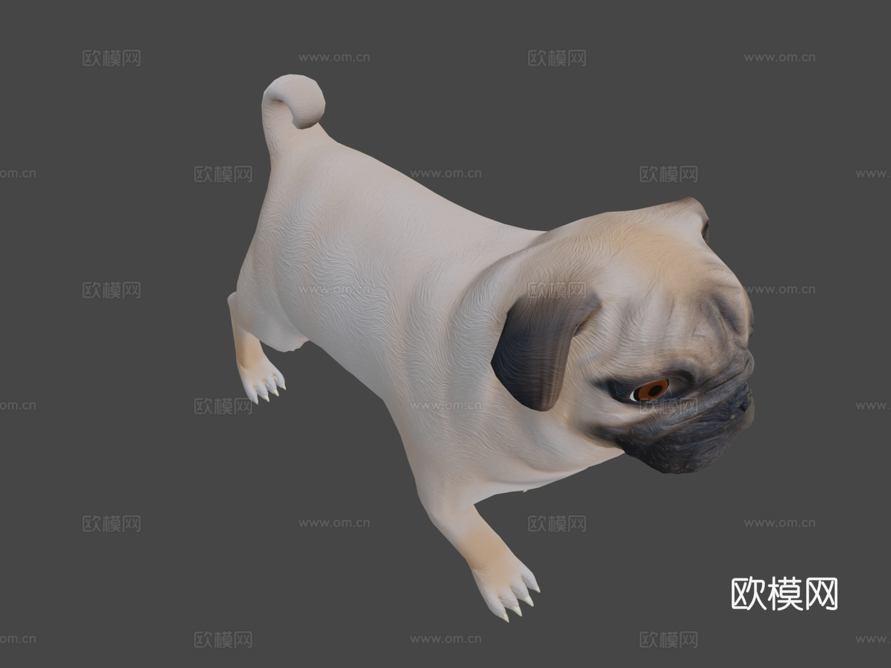 低多边形风格化狗巴哥犬su模型