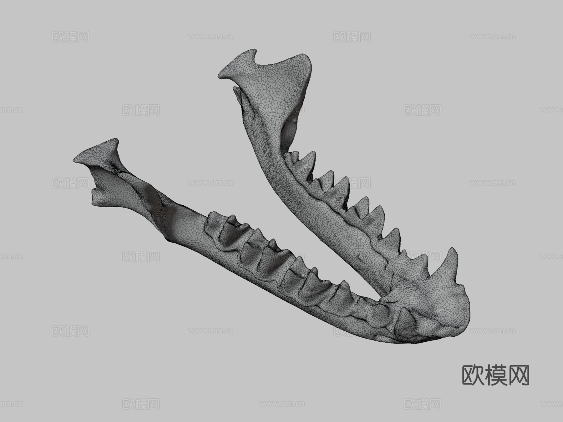 鼠耳蝠自然历史数字档案库su模型