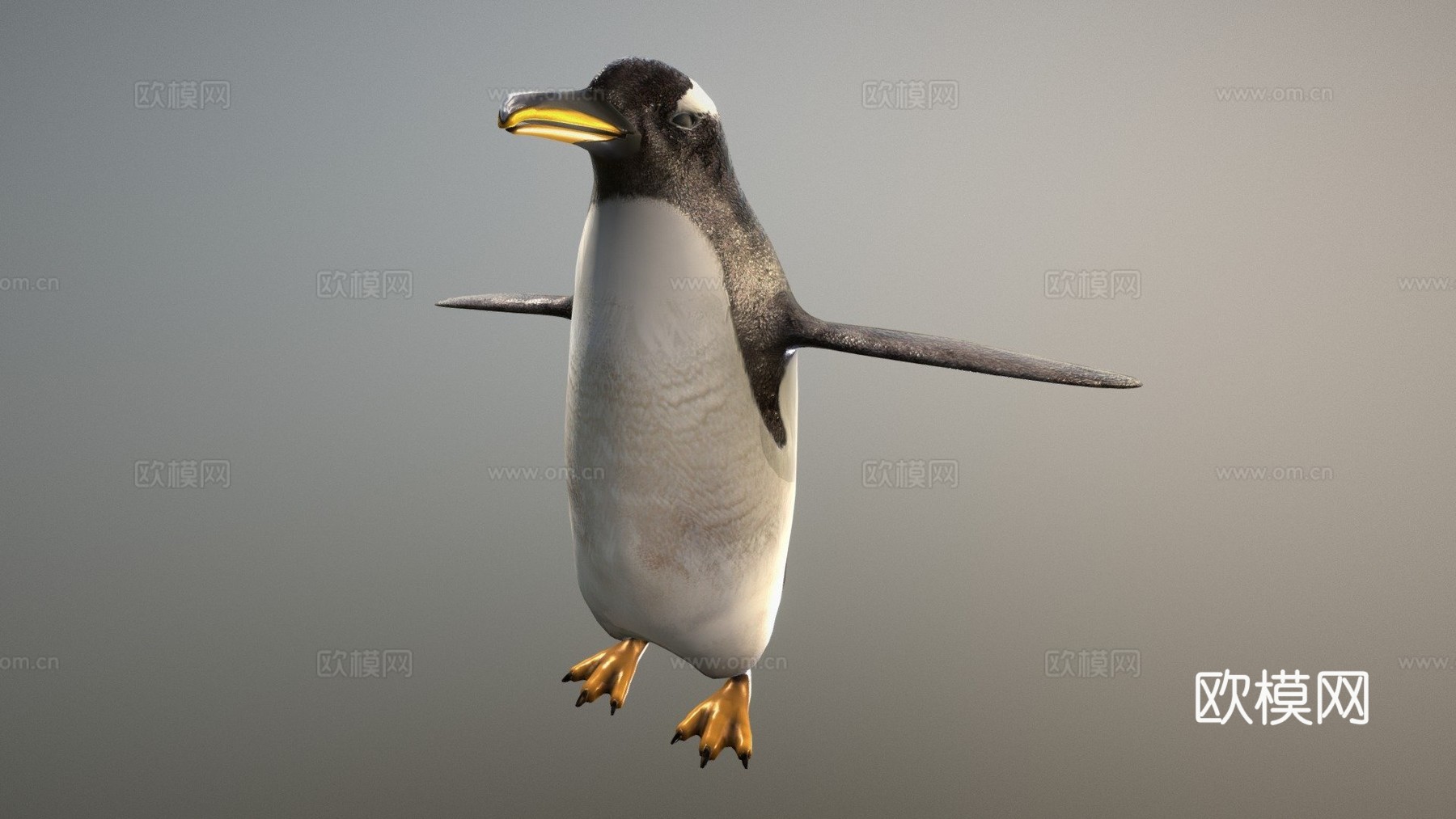 金图企鹅动物园su模型