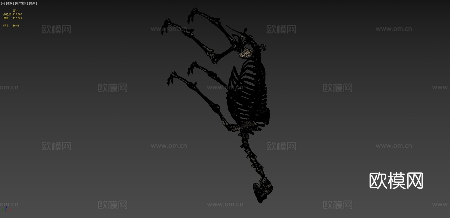 单峰骆驼骨架su模型