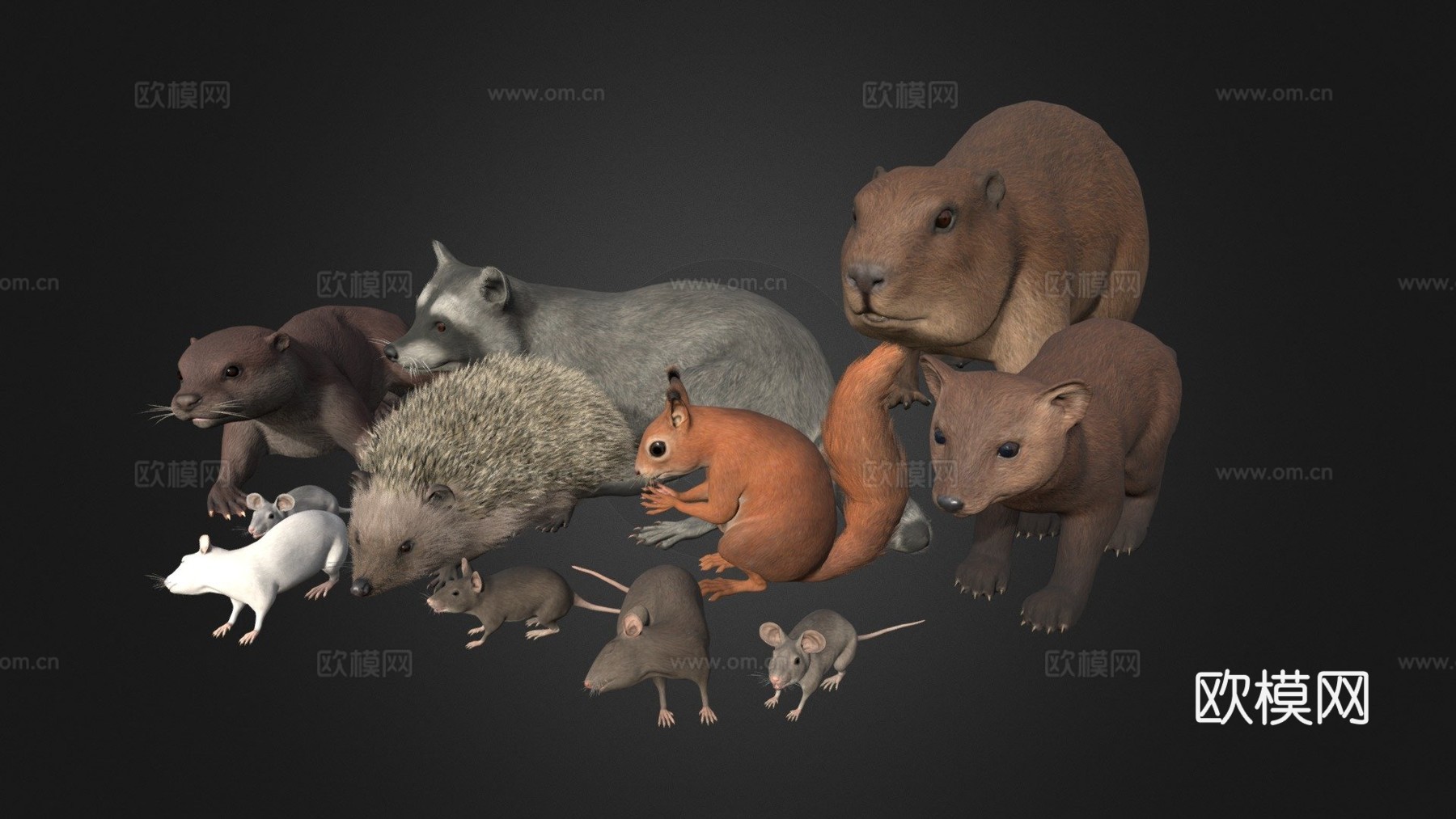 小型动物套装su模型