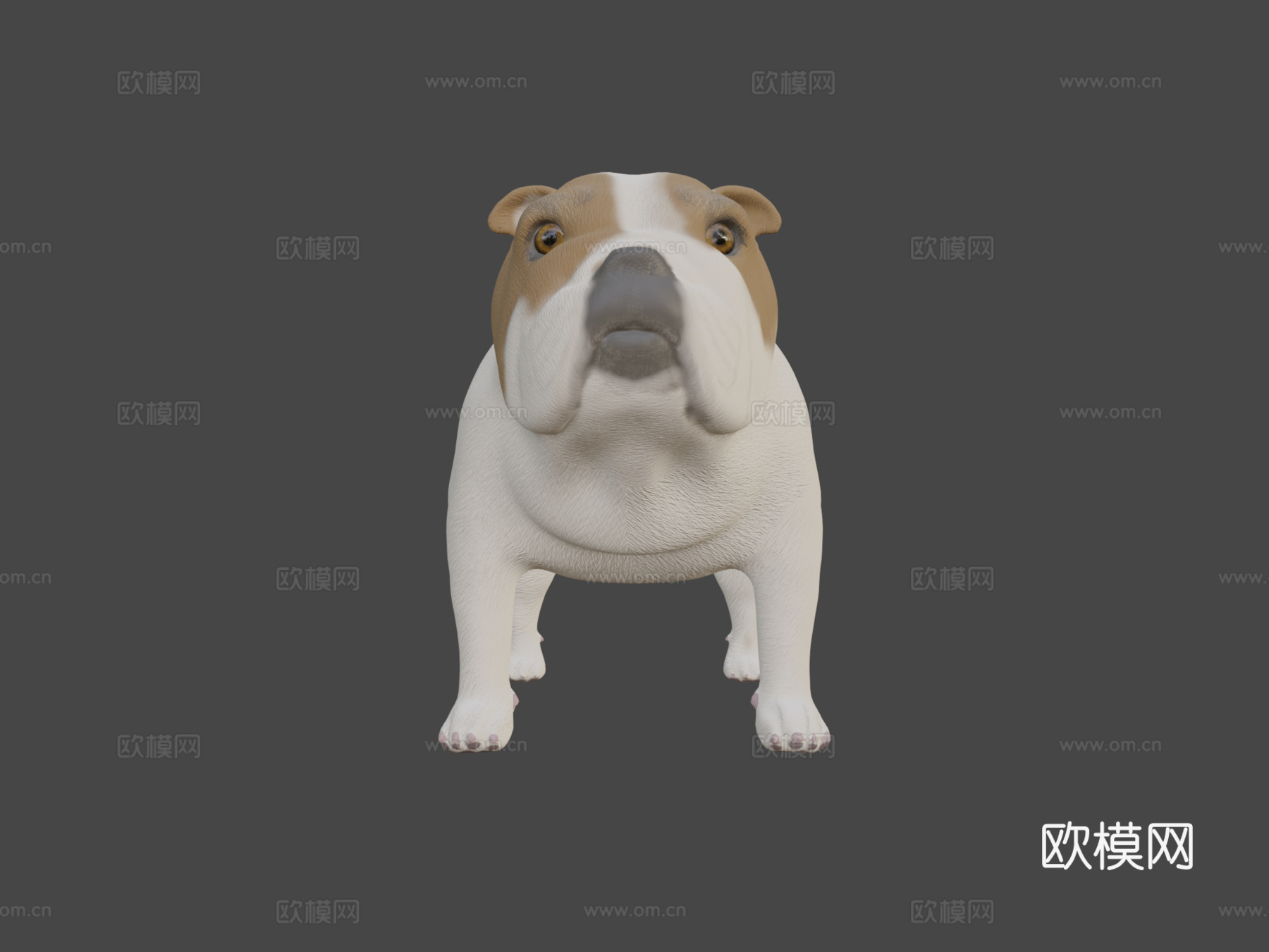 GD53离子罗德里格斯MOD2su模型下载（渲染图5）