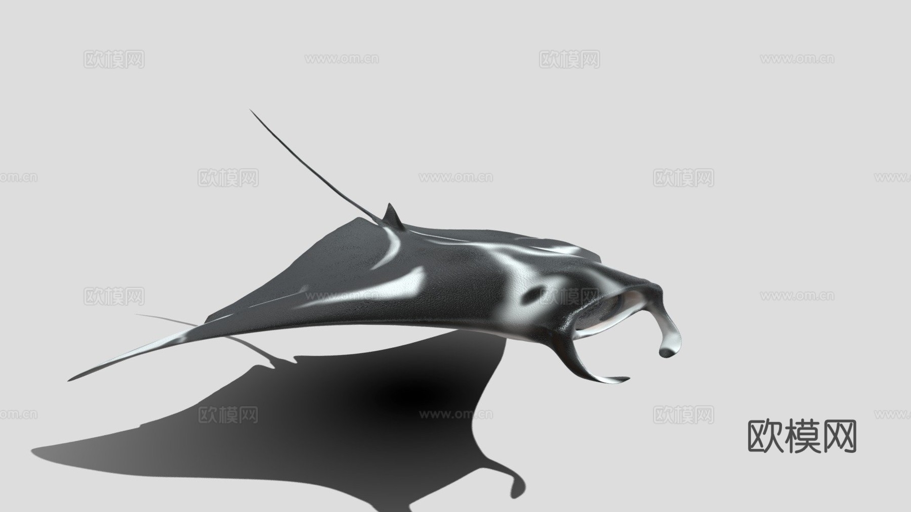 动画蝠鲼su模型